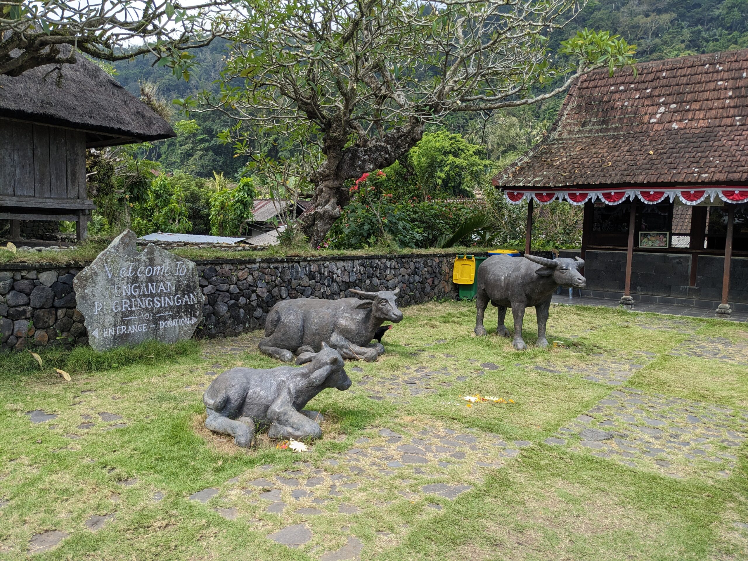 Menjenguk Tradisi Aga Desa Tenganan Pegrisingan